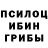 Псилоцибиновые грибы Cubensis PASKAL 2