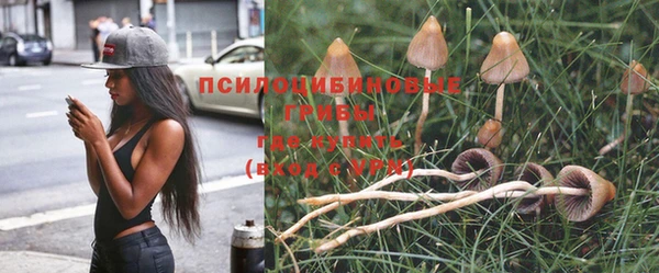 крисы Балахна