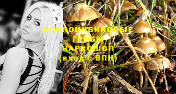 скорость Баксан