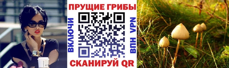Галлюциногенные грибы Magic Shrooms  Спасск-Дальний 