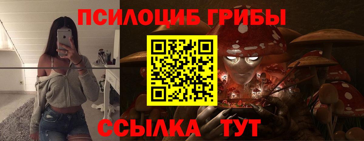 Галлюциногенные грибы прущие грибы Спасск-Дальний